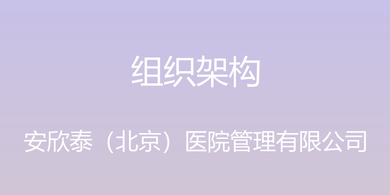 组织架构 - 安欣泰（北京）医院管理有限公司